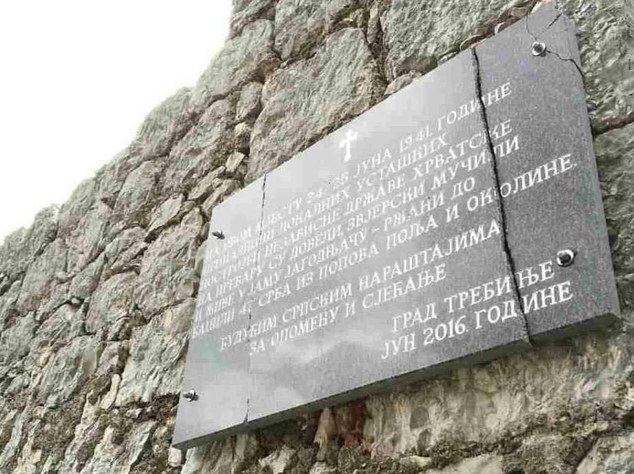 ploce.jpg